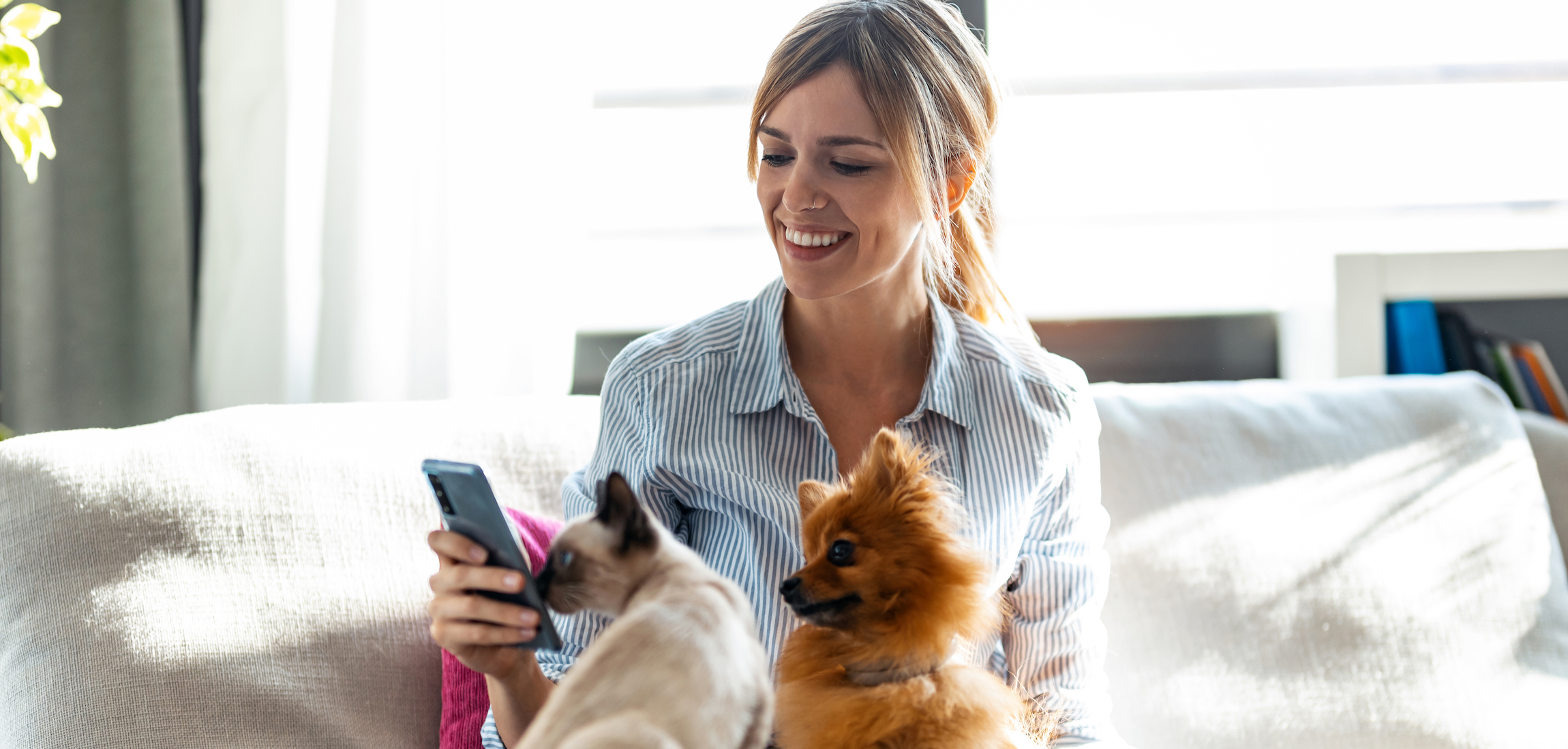 HOME Home PetVet Mobile Vet in Fort Wayne, IN